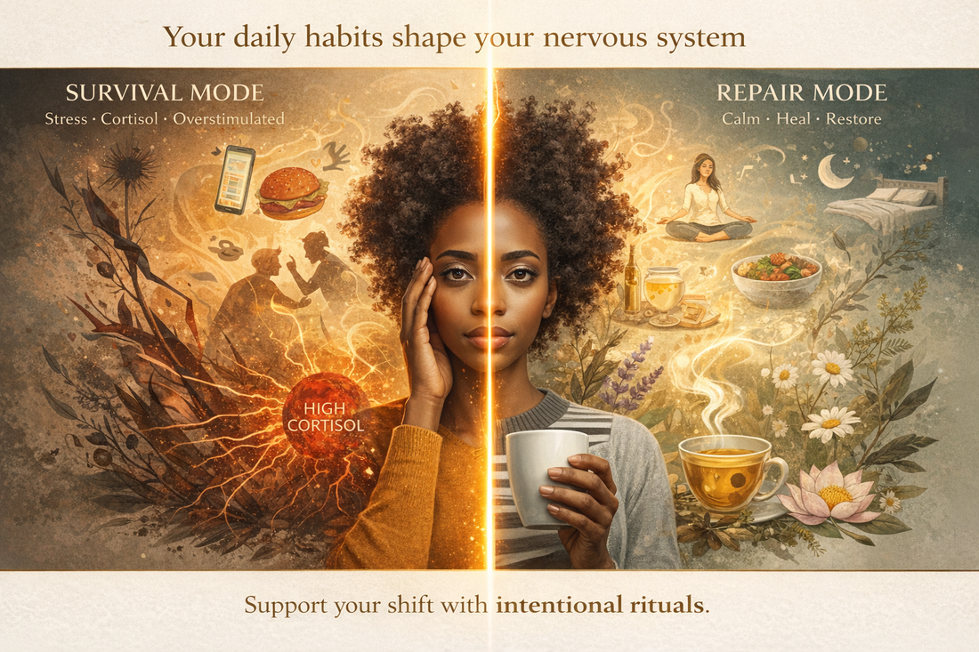 Repair Mode vs Survival Mode: What Your Body Chooses Daily